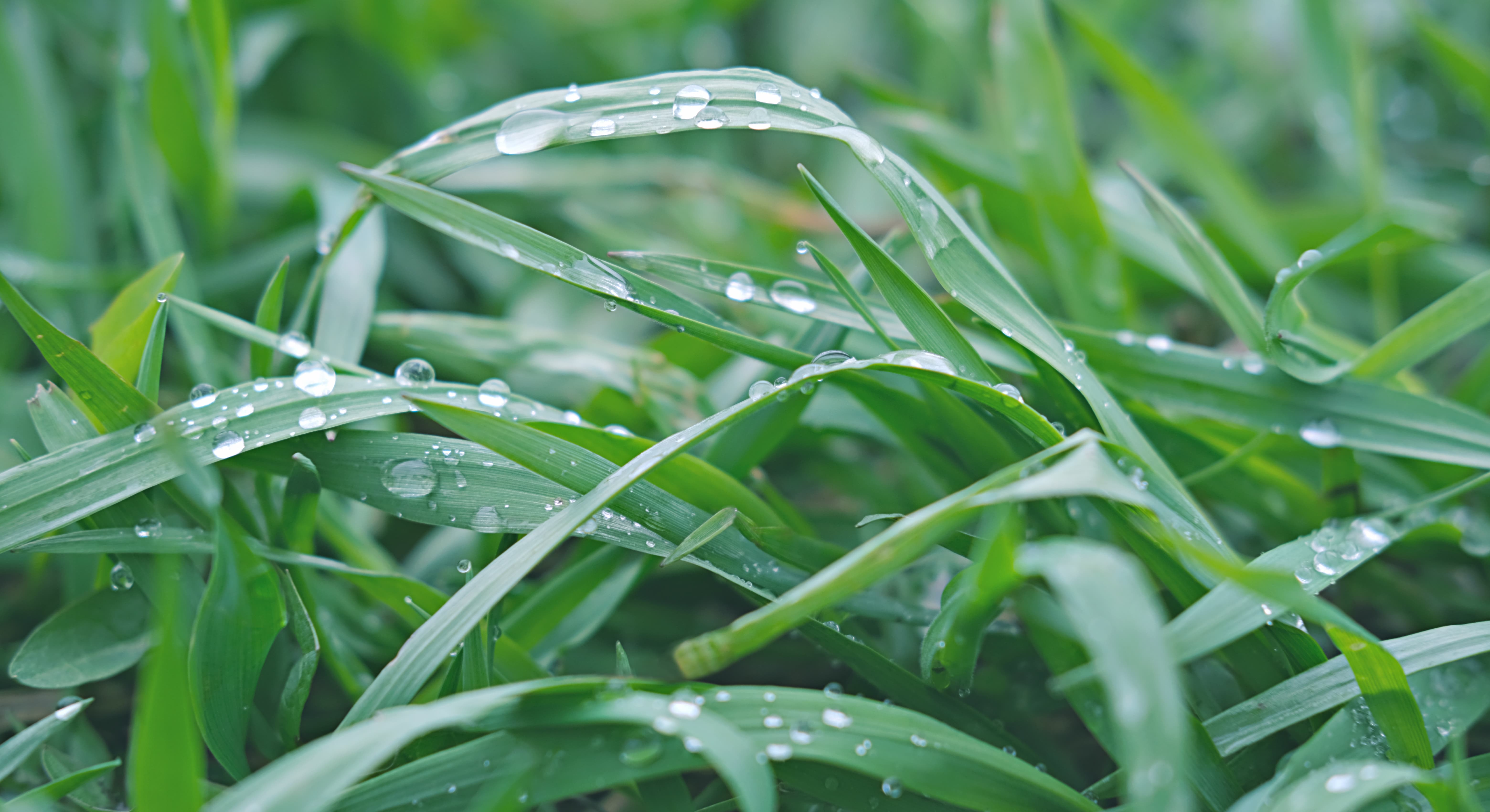 6cf36792-c359-4f39-9171-2c3cf65ddbaa