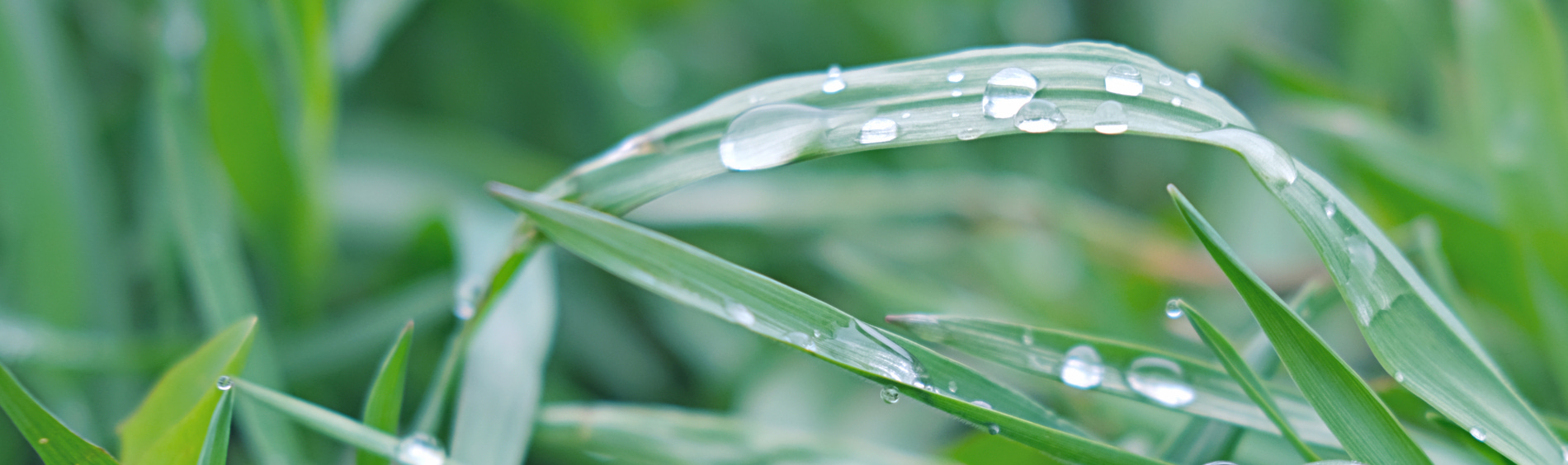 7c15aab7-8a5c-4248-9f5c-2a2039c33da0