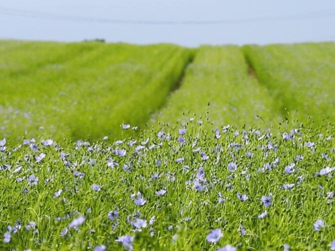 f99fea6f-d10f-4430-8665-f68819ec0683