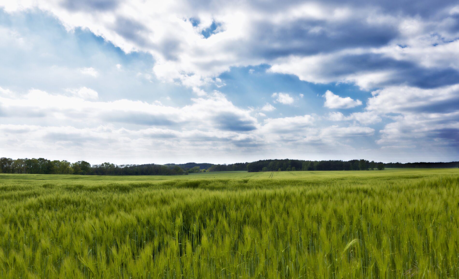 c35a7156-3cc5-45f6-b850-4be59c23363f