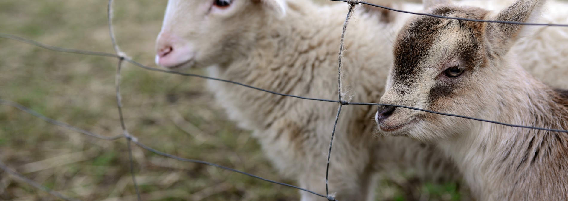 1e1ef548-4a3b-4a4d-af19-dfac799840cc