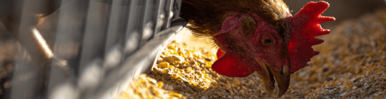 5248db6a-4918-4cb3-85ab-0e0eebb8d7b7