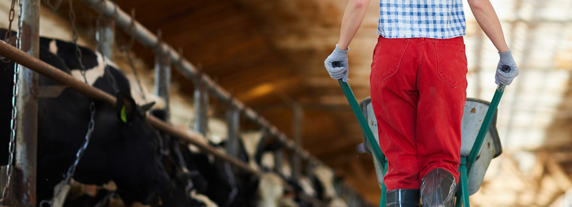 de89ae9c-c177-462c-bb32-40c34fd42f39