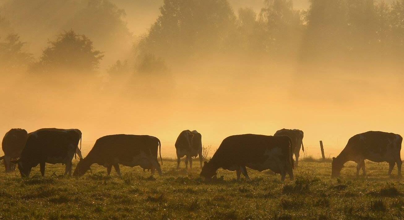 fa3e4778-30cc-4516-91cc-7833c281f048