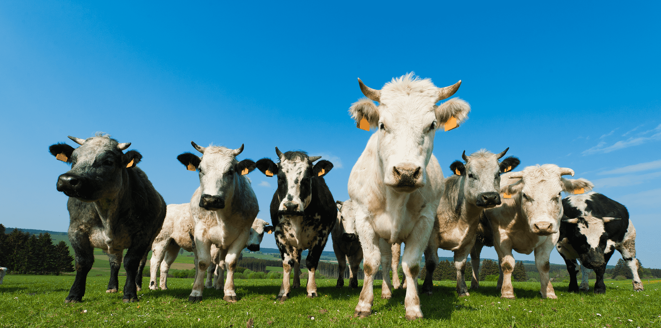 2e01f9d4-620a-4ff6-b3bd-f348fb578591