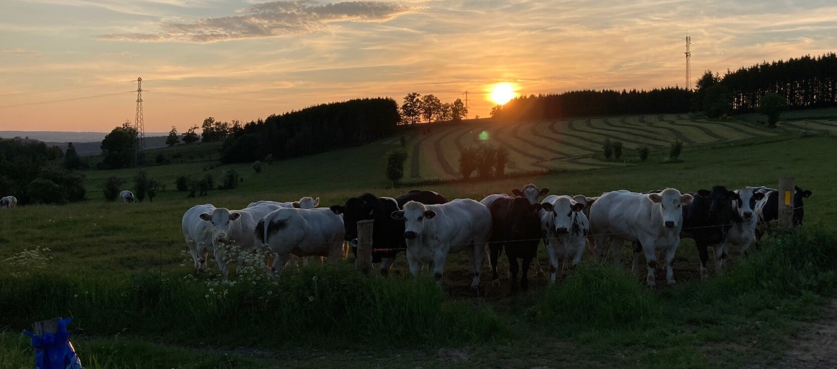 30008cb2-4d0f-4197-8355-8f92671967e7