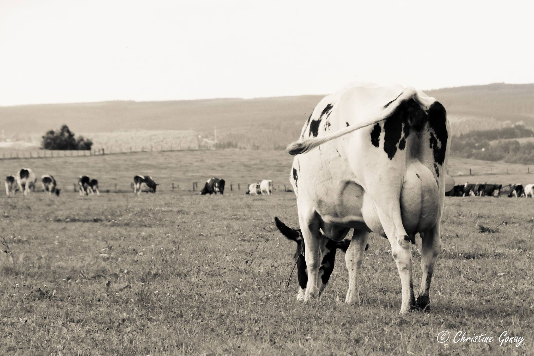 30a09942-ee5b-46e6-9552-ea7bab9fbdcf