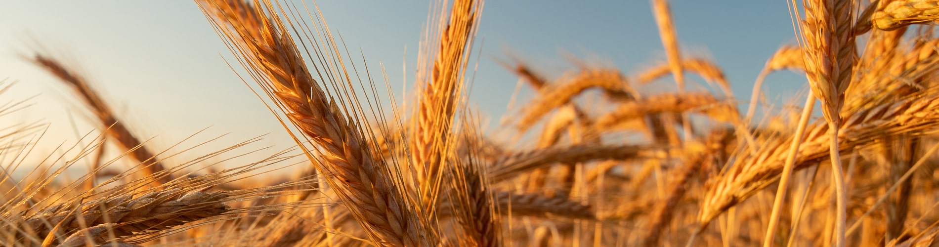 d18b87ab-7ddf-45fb-b177-eabef1c0a201