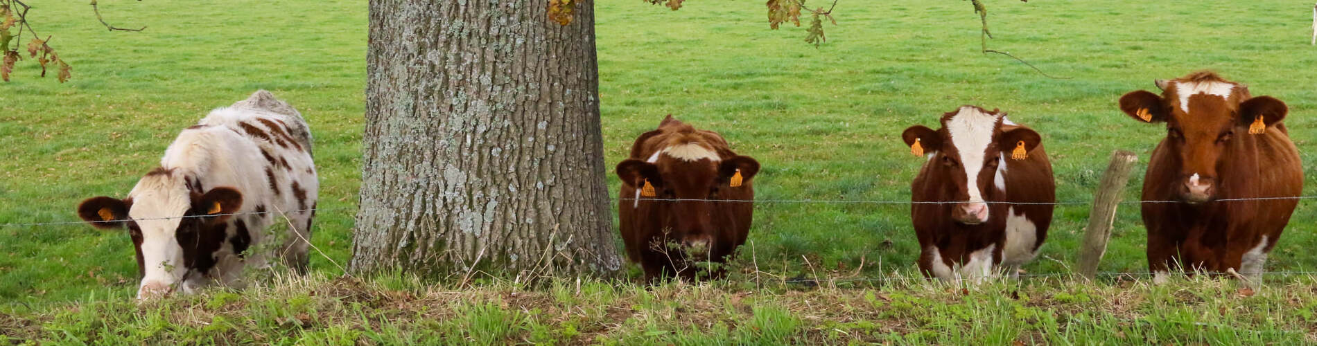 779c36cb-031b-4aa6-a32c-487e4825744f