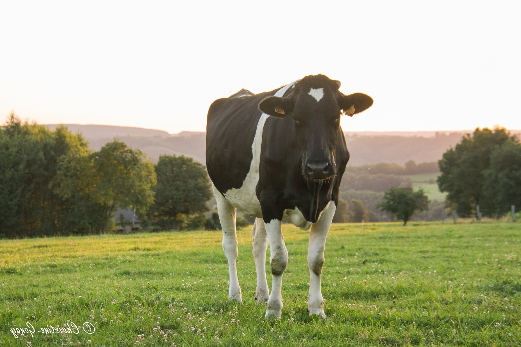 40270cb5-c643-4023-9fe5-4bcd69530b03