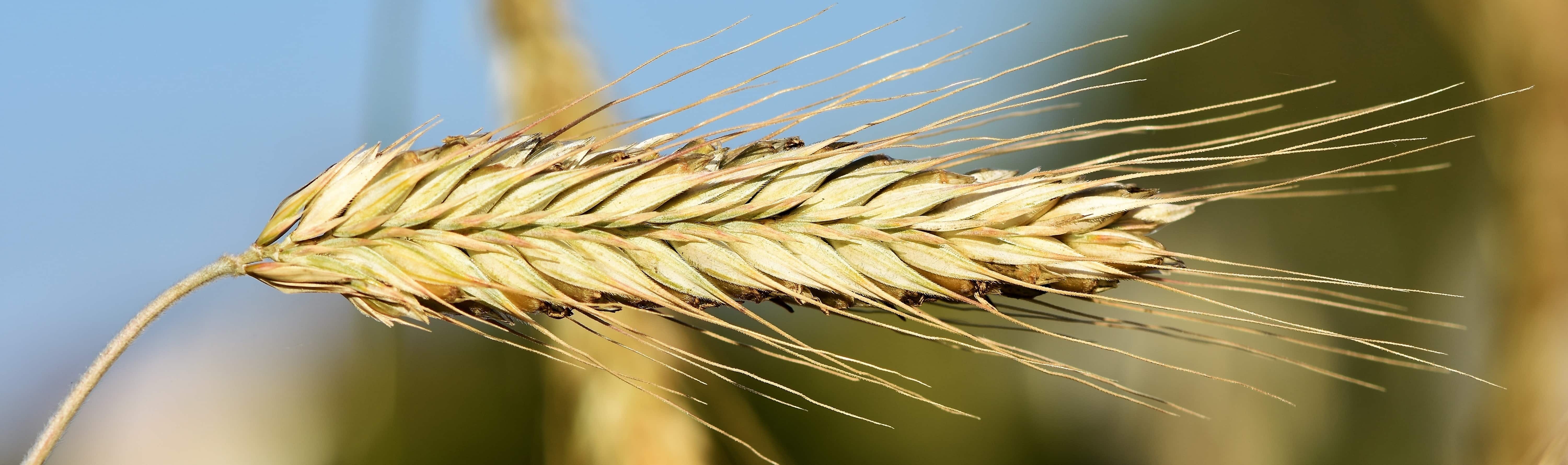 77769c5e-3c1a-4751-aa5e-15c767d99797